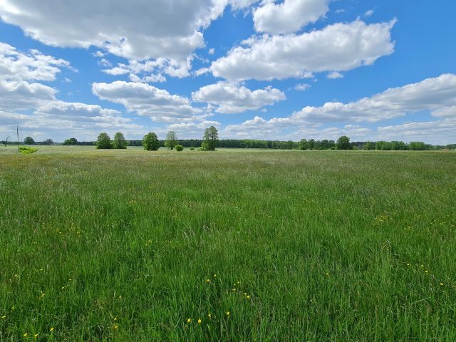 Działka siedliskowa Strzyżyna Gać. Zdjęcie 1
