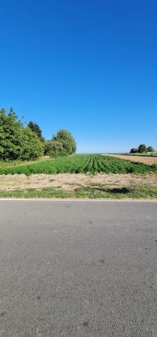 Działka budowlana Zemborzyce Wojciechowskie. Zdjęcie 1