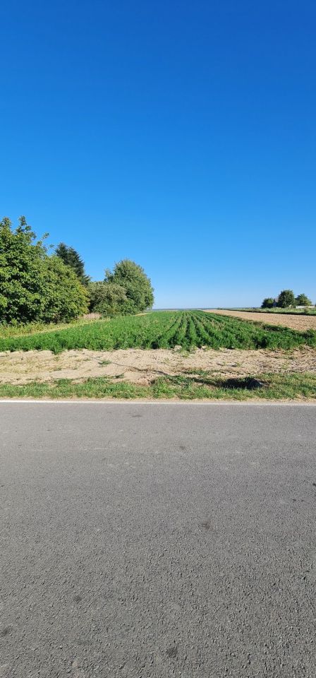 Działka budowlana Zemborzyce Wojciechowskie