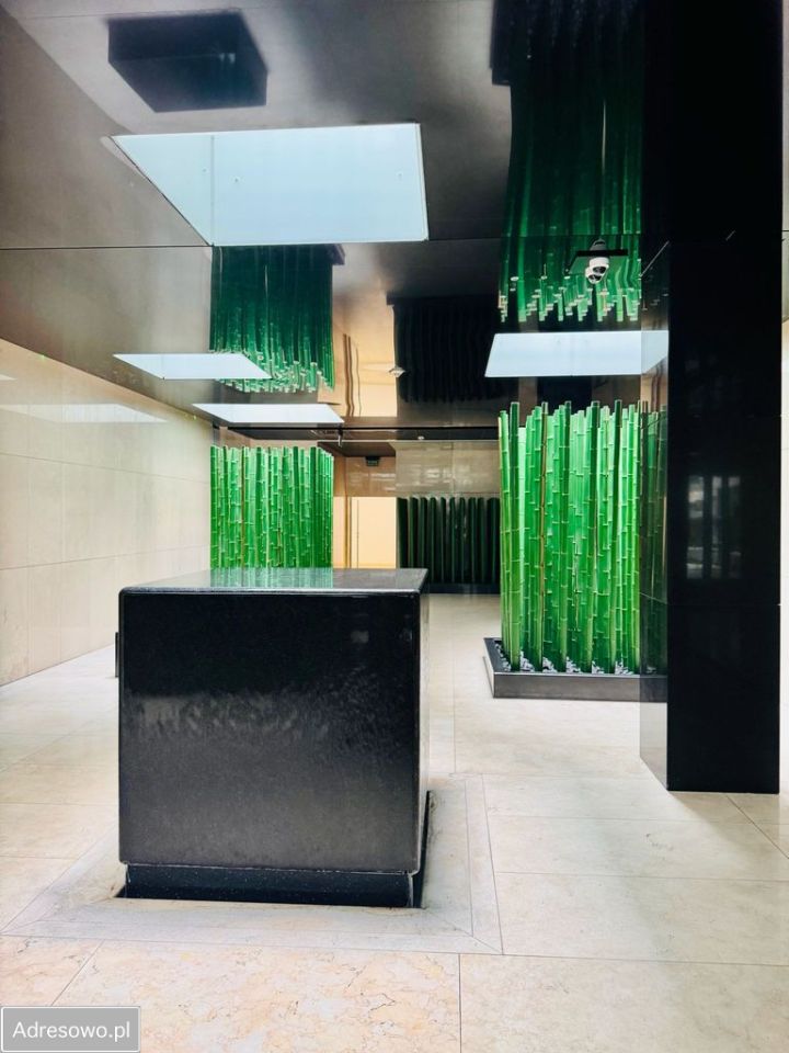 Mieszkanie 4-pokojowe Warszawa Wola, ul. Pańska. Zdjęcie 8