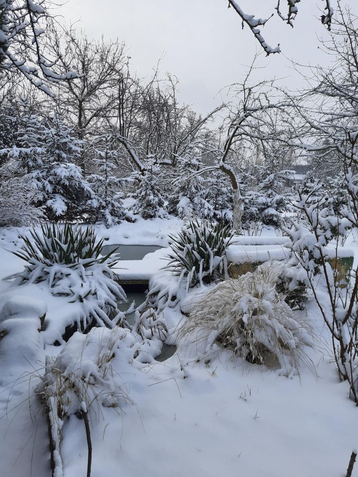 Działka rod Legnica, ul. Chojnowska. Zdjęcie 11