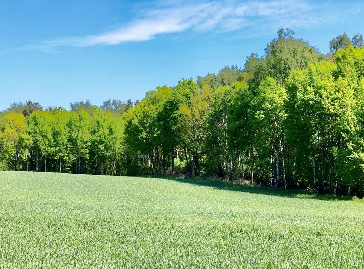 Działka budowlana Charzyno, ul. Lawendowa. Zdjęcie 3
