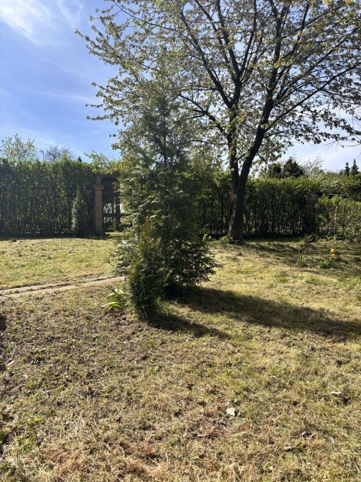 Działka rod Bytom. Zdjęcie 4