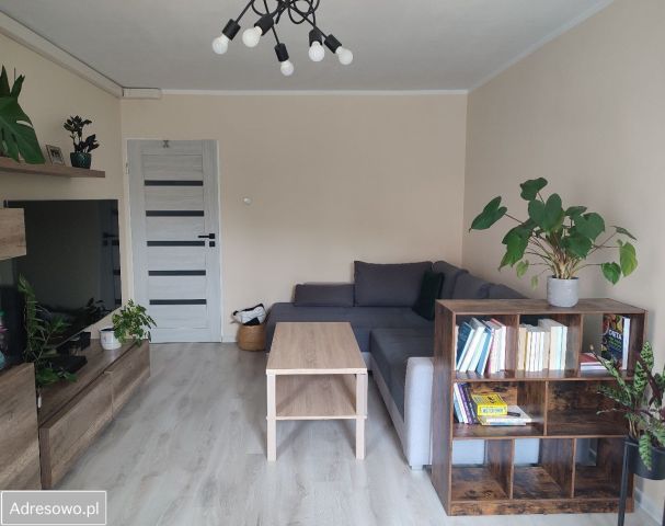 Mieszkanie 2-pokojowe Wrocław Plac Grunwaldzki, ul. Grunwaldzka. Zdjęcie 1