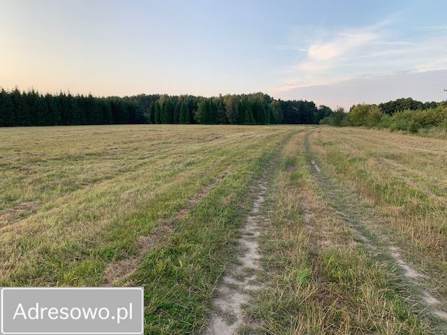 Działka rolna Rzystnowo. Zdjęcie 11