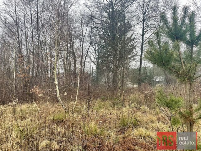 Działka siedliskowa Laskowizna. Zdjęcie 3