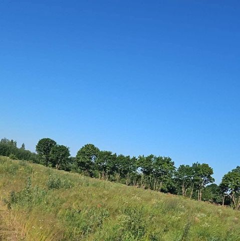 Działka budowlana Samborowo, ul. Jodłowa. Zdjęcie 1