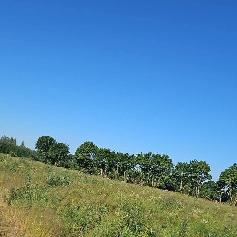 Działka budowlana Samborowo, ul. Jodłowa. Zdjęcie 1