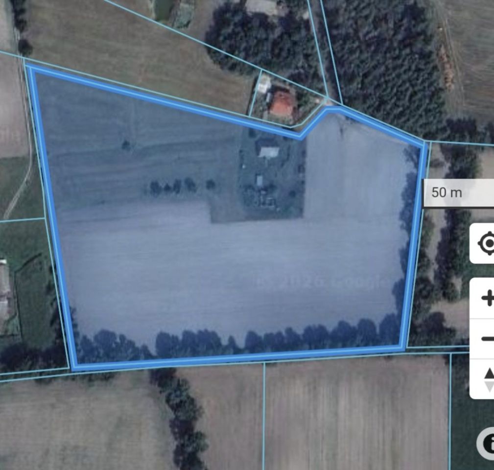 Działka rolna Kaliszkowice Kaliskie. Zdjęcie 4