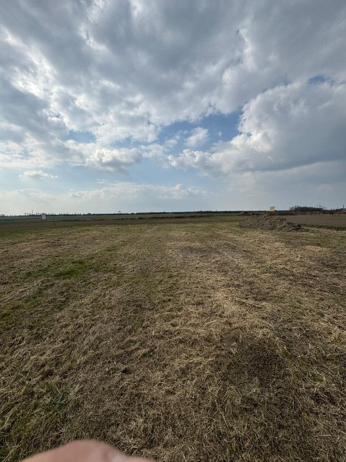 Działka budowlana Przyszowice. Zdjęcie 8