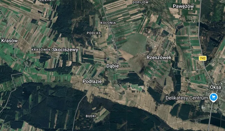 Działka rolna Dąbie