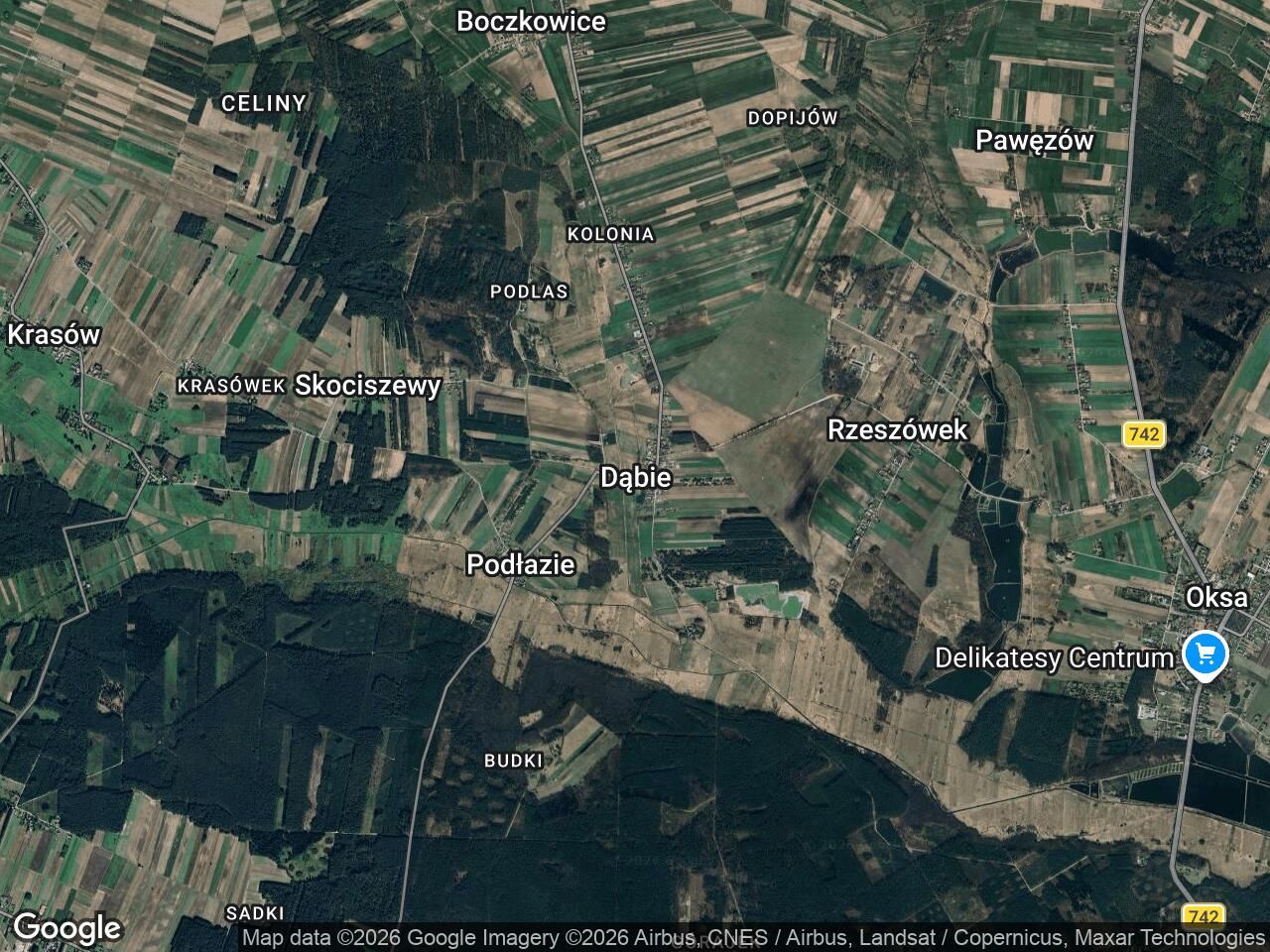 Działka rolna Dąbie. Zdjęcie 1