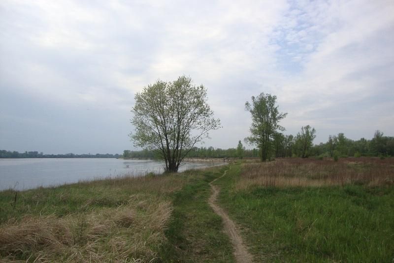 Działka budowlana Józefów Dębinka, ul. Daleka. Zdjęcie 18