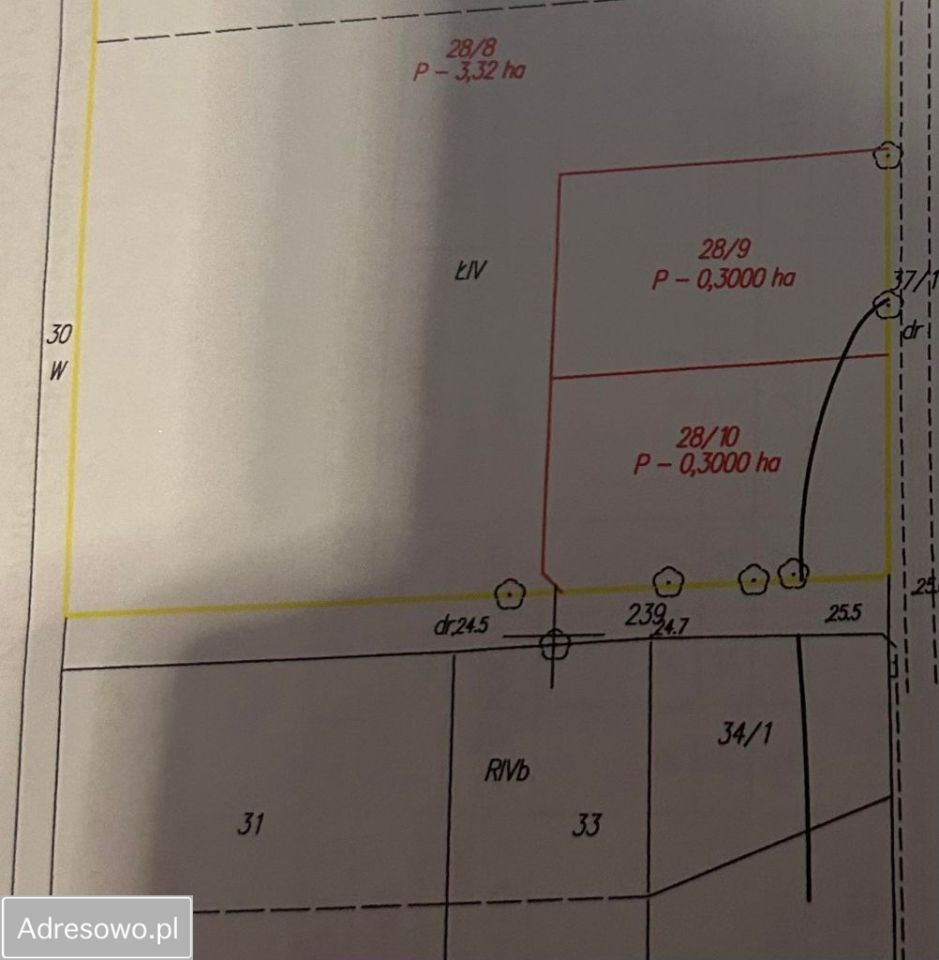 Działka rolno-budowlana Pławin. Zdjęcie 2
