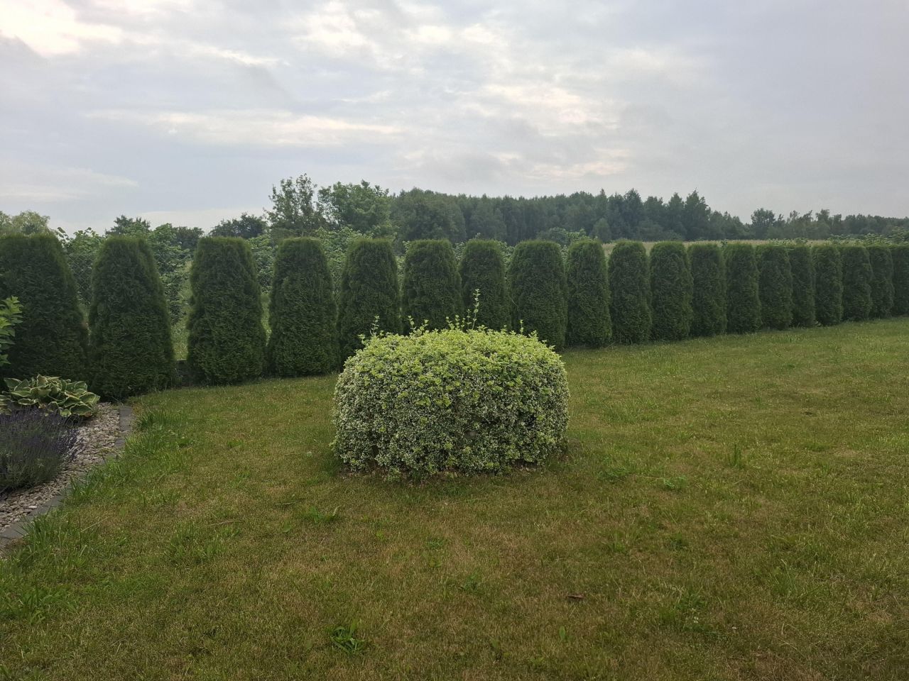 siedlisko, 2 pokoje Pieńki. Zdjęcie 6