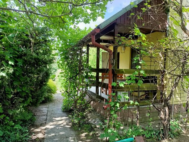 Działka rod Ciechanów. Zdjęcie 1