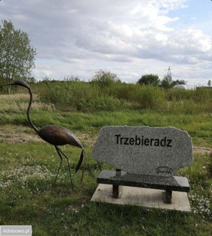 Działka rolna Trzebieradz. Zdjęcie 1