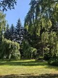 Działka rekreacyjna Młynarze. Zdjęcie 2