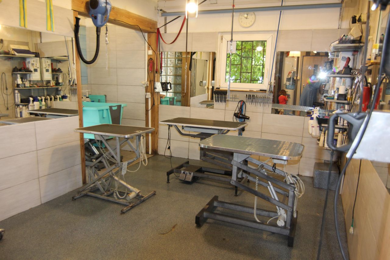 Lokal Katowice Brynów, ul. Brynowska. Zdjęcie 3