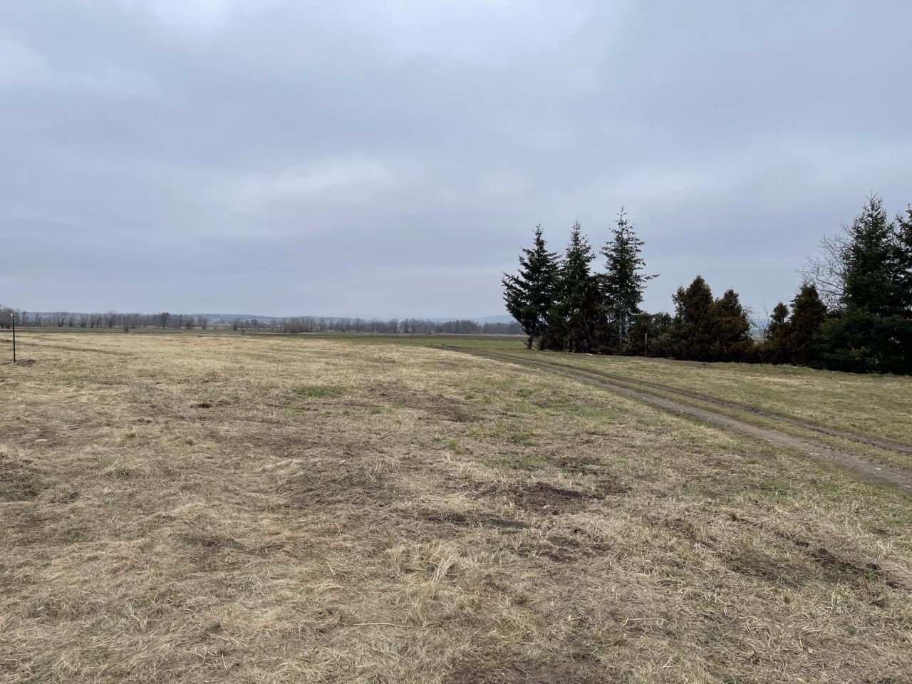 Działka rolno-budowlana Gościce. Zdjęcie 3