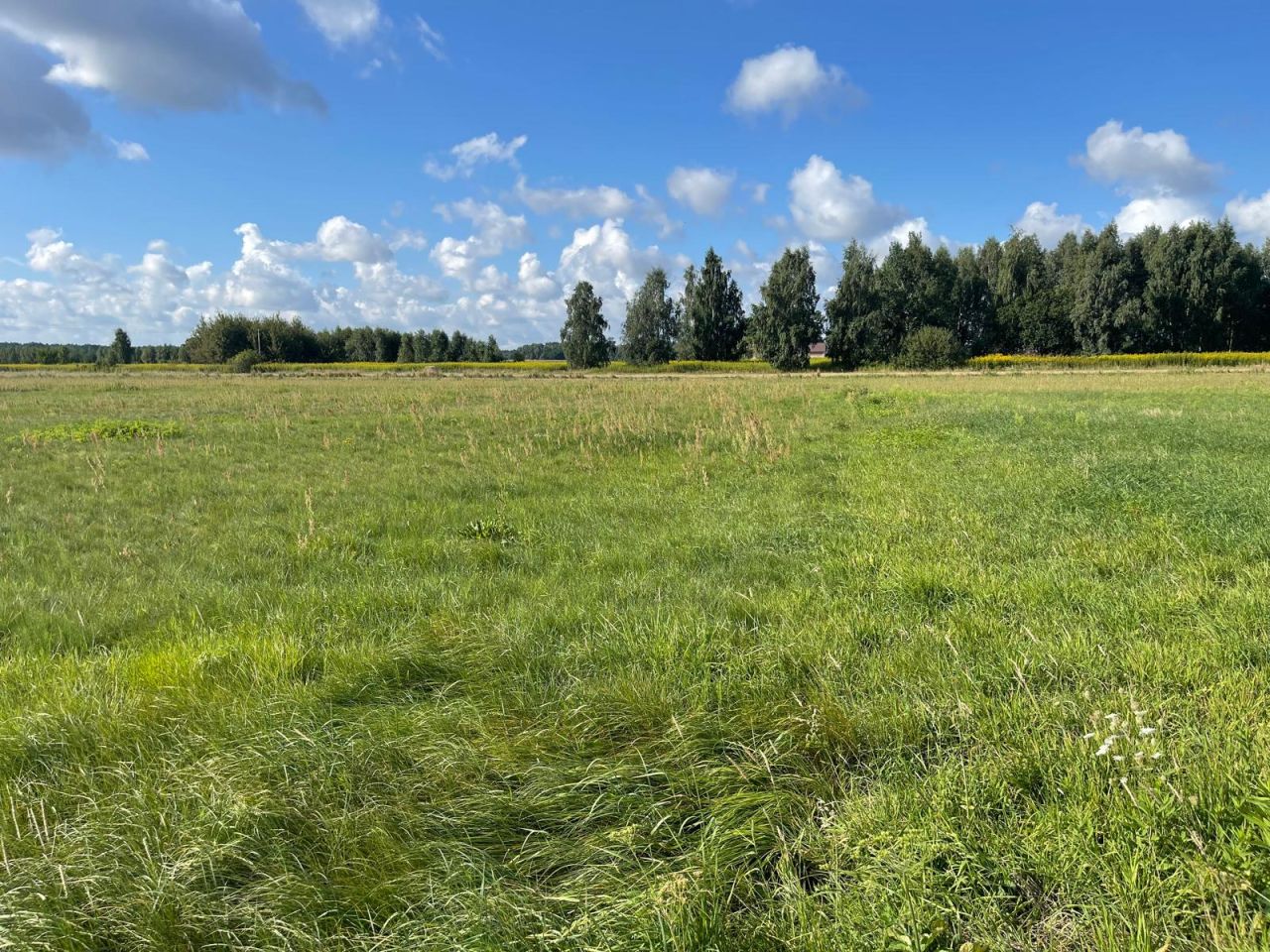 Działka budowlana Łąki. Zdjęcie 5