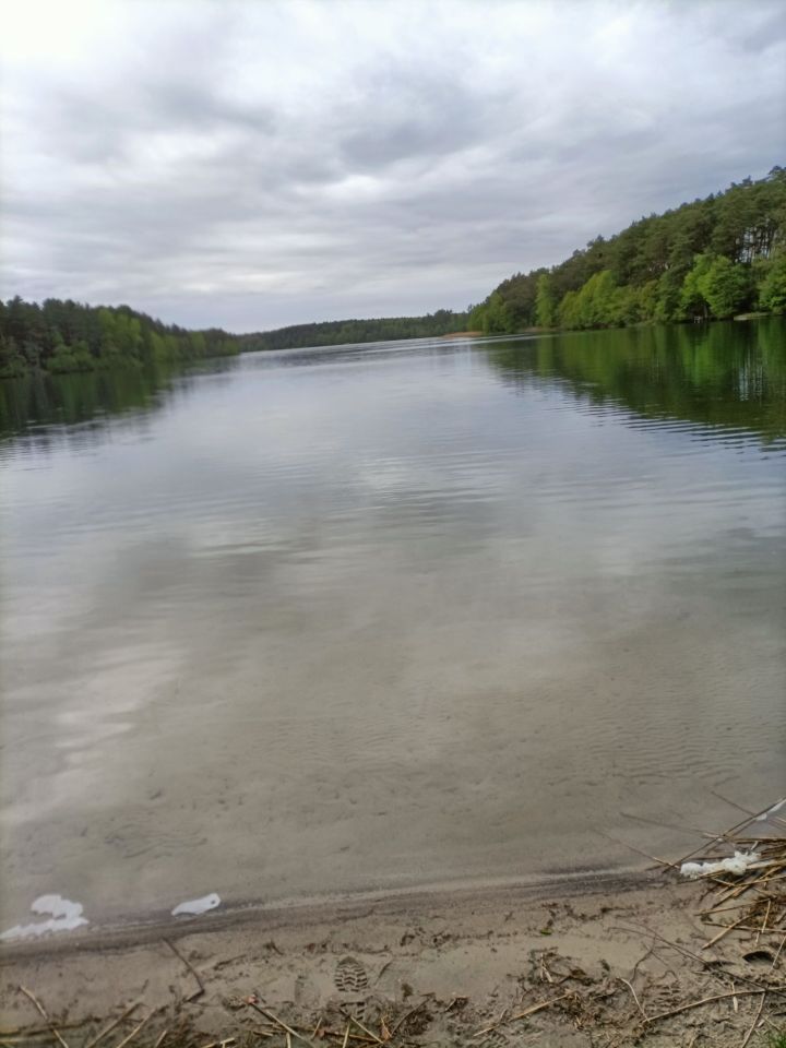 Działka Broda. Zdjęcie 5