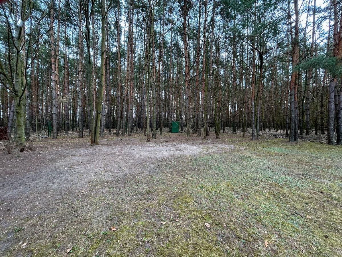 Działka rekreacyjna Cegielnia. Zdjęcie 3