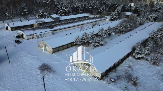 Działka inwestycyjna Wysoka Głogowska. Zdjęcie 2