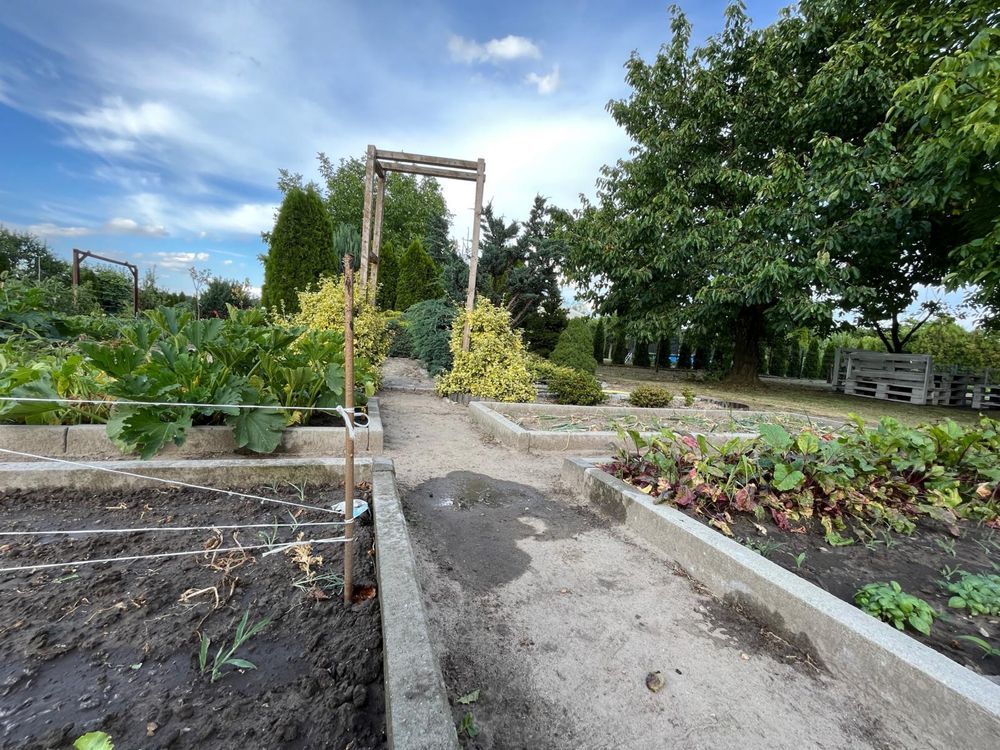 Działka rod Chocicza. Zdjęcie 3