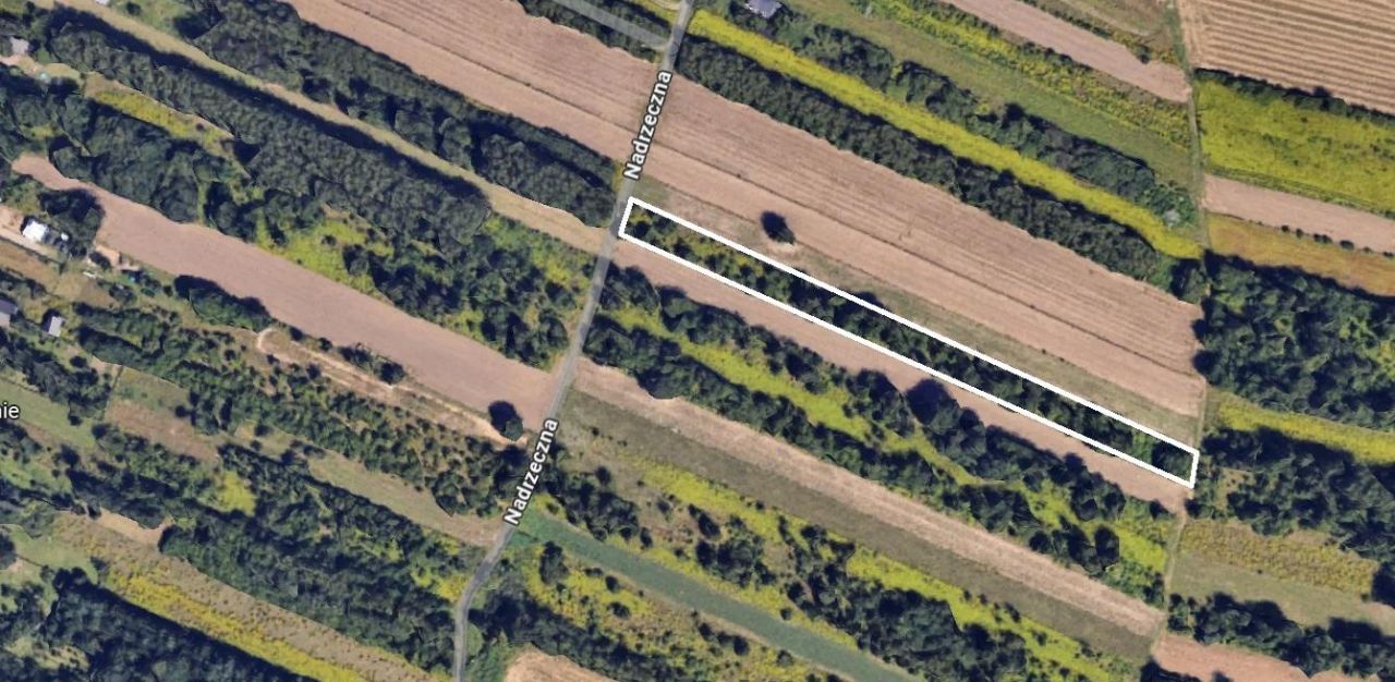 Działka rolna Zgierz Rudunki, ul. Nadrzeczna. Zdjęcie 3