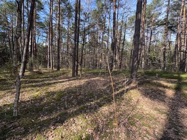 Działka leśna Osiedle Wilga, ul. Jodłowa. Zdjęcie 1