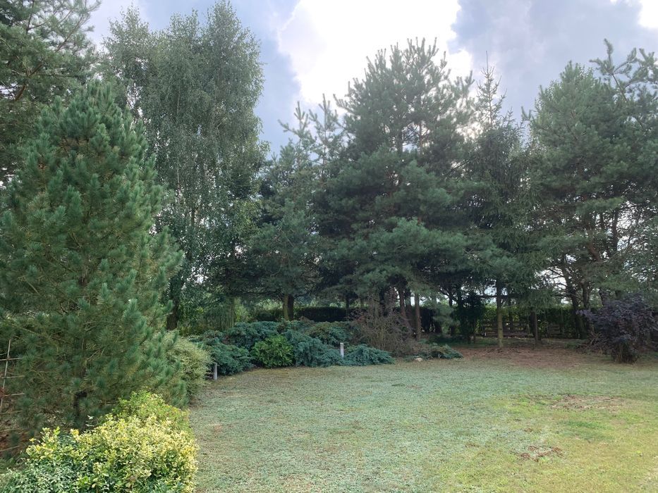 Działka budowlana Popów. Zdjęcie 8