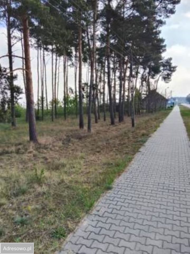 Działka budowlana Nowa Wieś, ul. Przemęcka. Zdjęcie 6