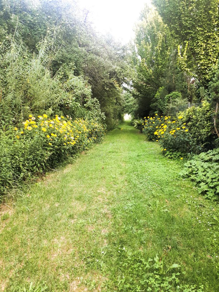 Działka rolno-budowlana Ostrzeszów, ul. Podmiejska . Zdjęcie 7