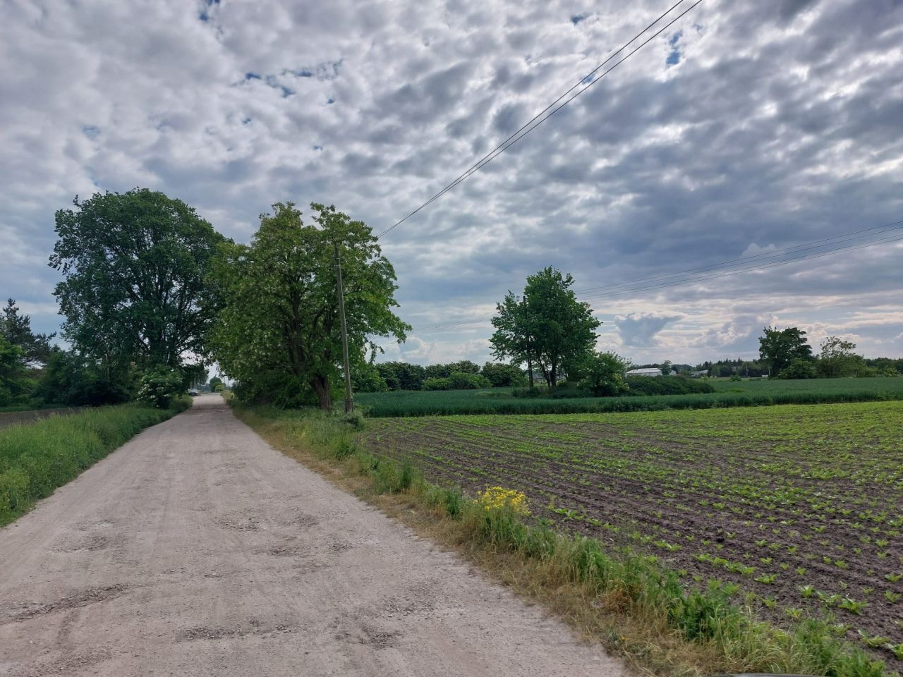 Działka budowlana Inowrocław, ul. Wiktora Spornego. Zdjęcie 4