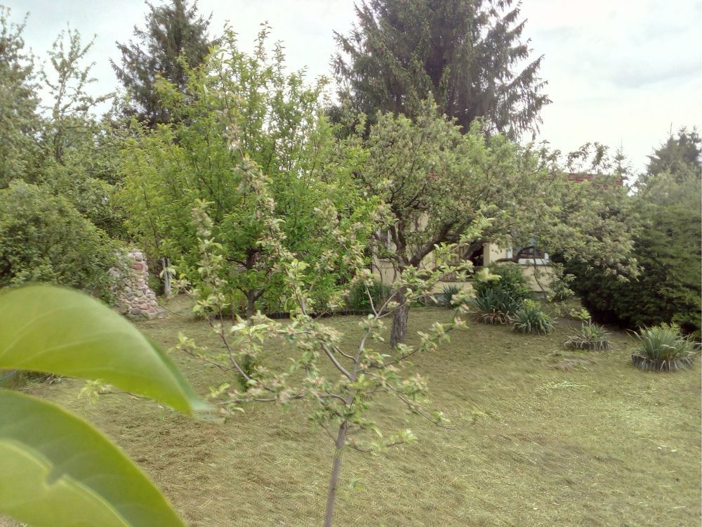 Działka rod Warszawa Śródmieście, ul. Janowiecka. Zdjęcie 6