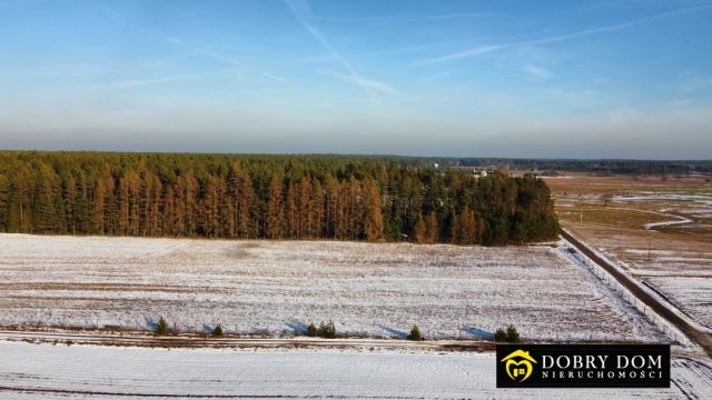 Działka budowlana Serski Las. Zdjęcie 13