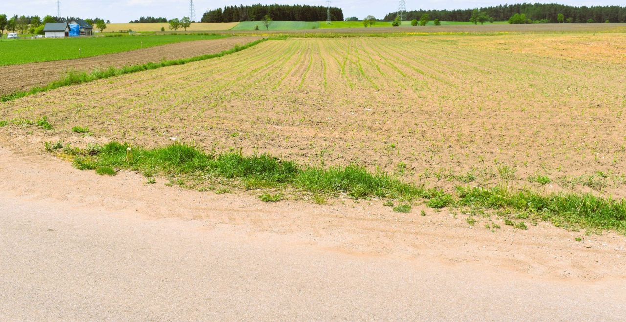 Działka budowlana Bakałarzewo, ul. Adama Mickiewicza. Zdjęcie 3