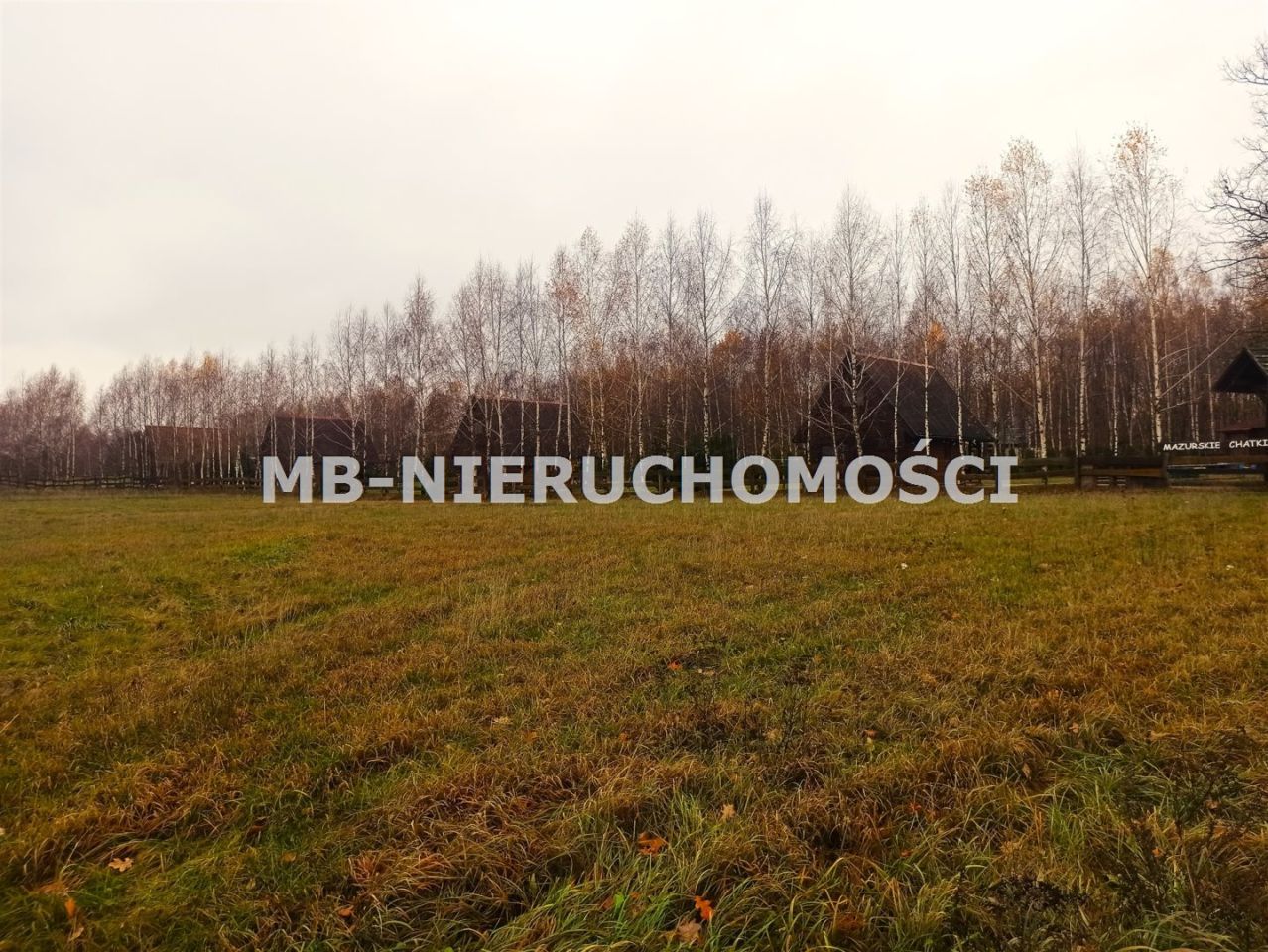 Działka rekreacyjna Skarpa. Zdjęcie 11