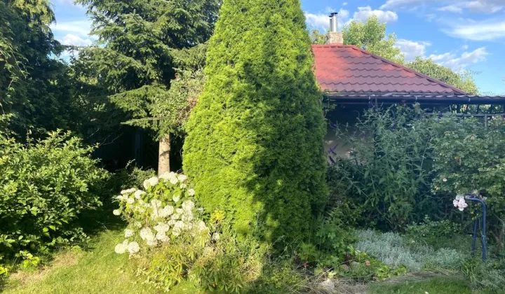 Działka rod Włocławek