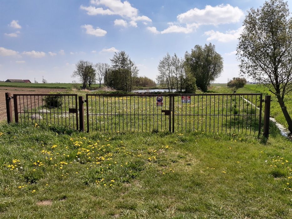 Działka rekreacyjna Kolonia Strzegocin. Zdjęcie 7