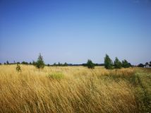 Działka rolna Kleszczewo. Zdjęcie 1