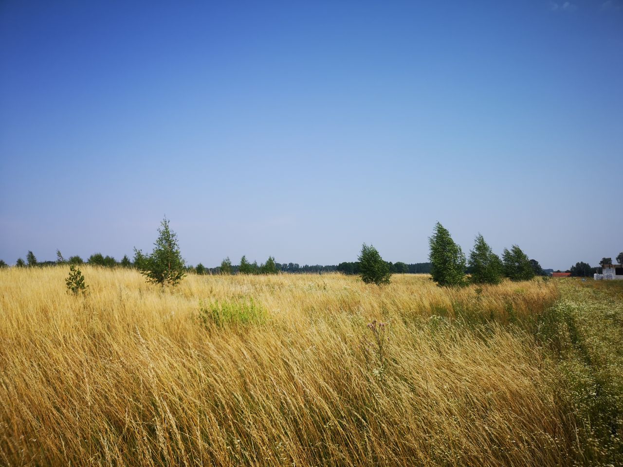 Działka rolna Kleszczewo. Zdjęcie 2
