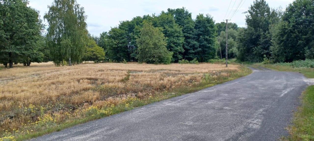 Działka budowlana Bujniczki-Kolonia Kopanina. Zdjęcie 3