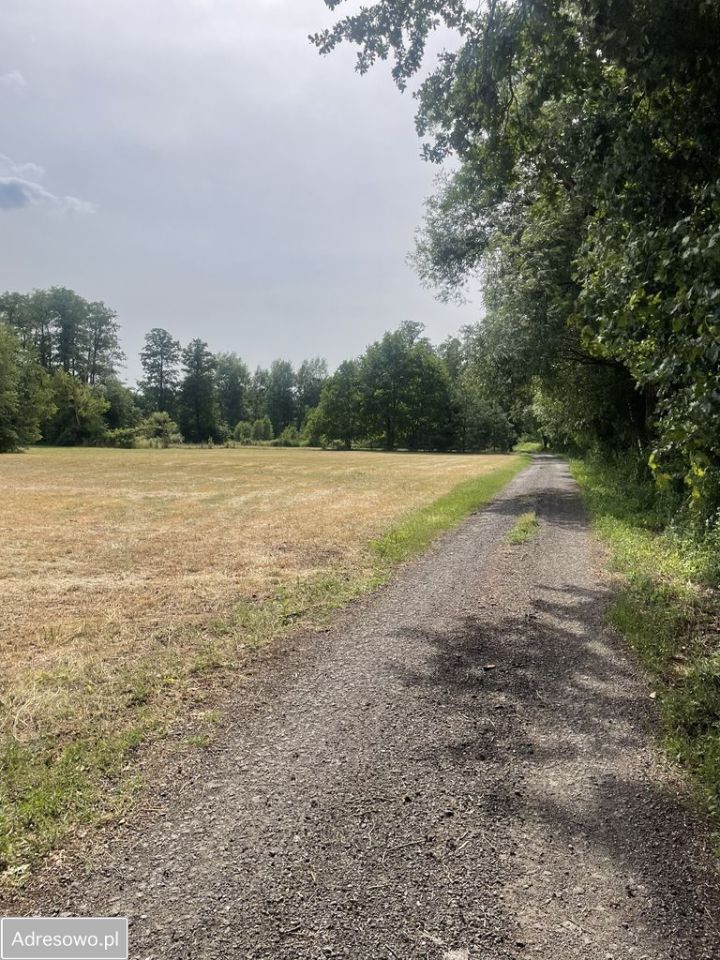Działka rolno-budowlana Michałów. Zdjęcie 6