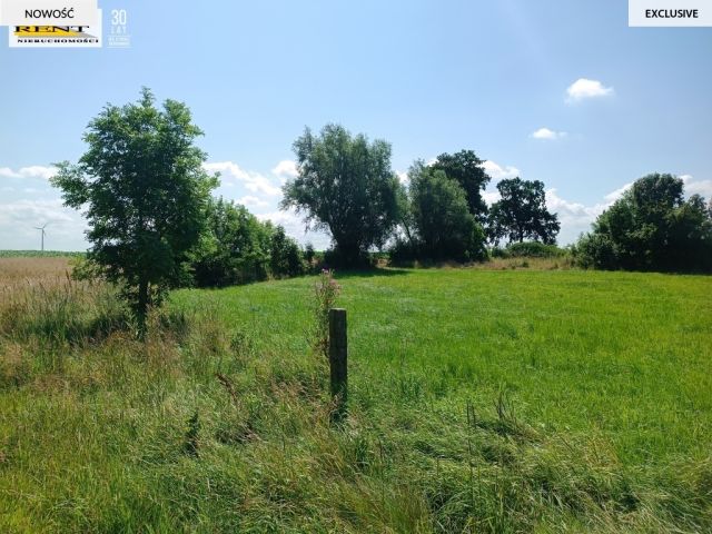 Działka budowlana Roby. Zdjęcie 3