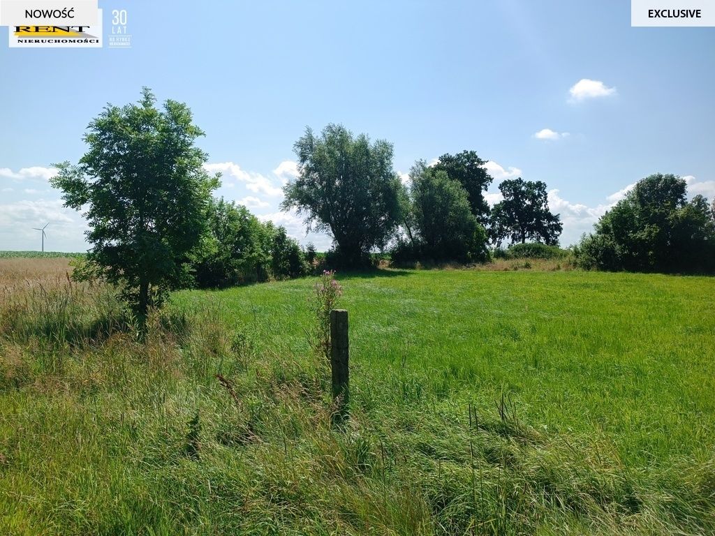 Działka budowlana Roby. Zdjęcie 3