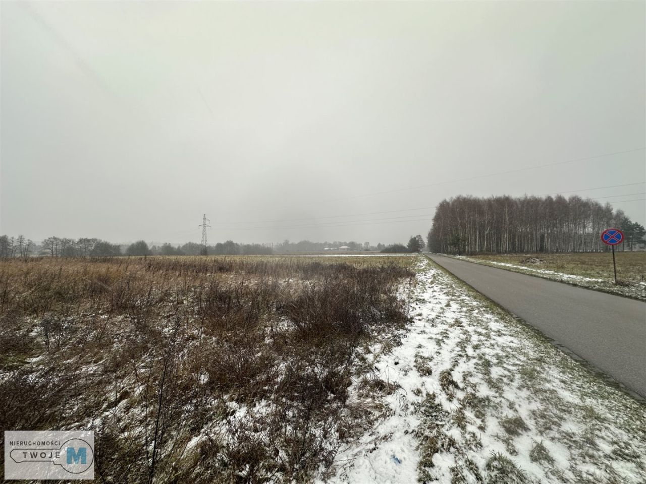 Działka rolna Śladków Duży. Zdjęcie 2