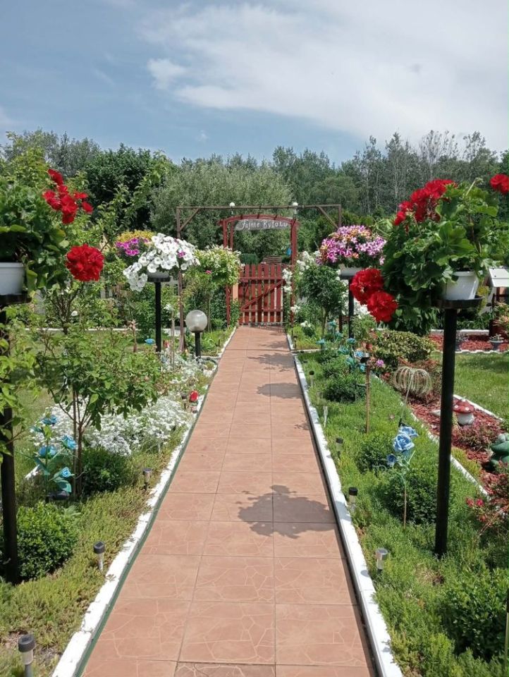 Działka rod Zabrze. Zdjęcie 6