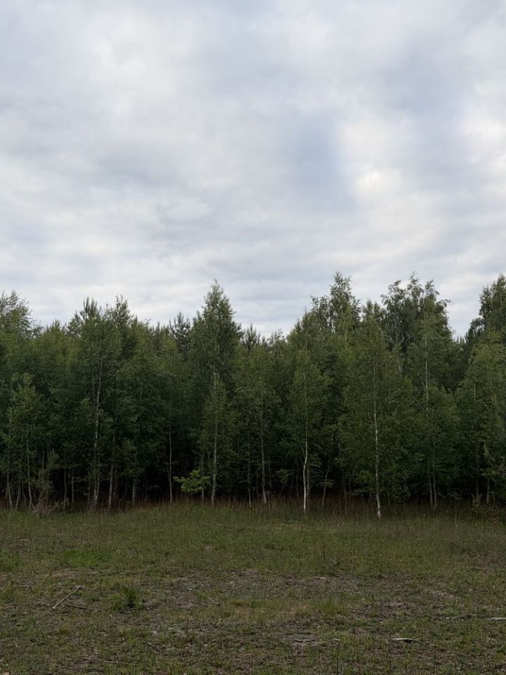 Działka leśna Nowe Wągrodno. Zdjęcie 2